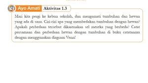 Jawaban-Soal-IPA-Kelas-8-Semester-1-Halaman-12-Kurikulum-Merdeka-cover.jpg