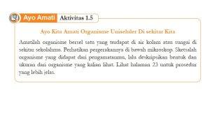 Jawaban-Soal-IPA-Kelas-8-Semester-1-Halaman-19-Kurikulum-Merdeka-cover.jpg