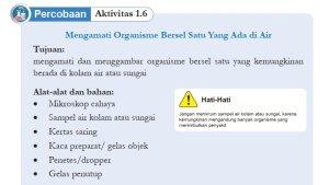 Jawaban-Soal-IPA-Kelas-8-Semester-1-Halaman-23-Kurikulum-Merdeka-cover.jpg