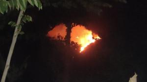 Kondisi-kebakaran-hutan-di-kawasan-Desa-Banyupoh-Kecamatan-Gerokgak-58.jpg