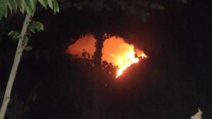 Kondisi-kebakaran-hutan-di-kawasan-Desa-Banyupoh.jpg