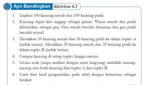 Kunci-Jawaban-IPA-Kelas-9-Halaman-148-Kurikulum-Merdeka-cover.jpg