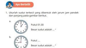 Kunci-Jawaban-Matematika-Kelas-5-SD-Kurikulum-Merdeka-Halaman-182-cover.jpg