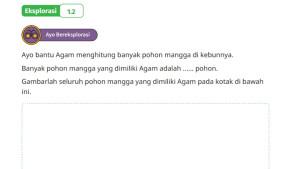 Kunci-Jawaban-Matematika-Kelas-6-SD-Kurikulum-Merdeka-Halaman-13-cover.jpg