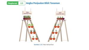 Kunci-Jawaban-Matematika-Kelas-6-SD-Kurikulum-Merdeka-Halaman-66-67-cover.jpg