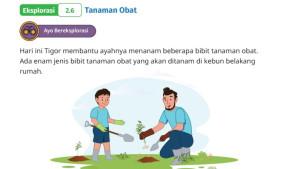 Kunci-Jawaban-Matematika-Kelas-6-SD-Kurikulum-Merdeka-Halaman-68-69-cover.jpg