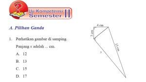 Kunci-Jawaban-Matematika-Kelas-8-Semester-2-Halaman-311-312-cover.jpg