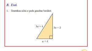 Kunci-Jawaban-Matematika-Kelas-8-Semester-2-Halaman-49-50-cover.jpg