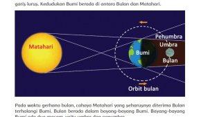 Kunci-jawaban-tema-8-kelas-6-halaman-81-82-83-84-85-cover.jpg