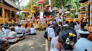 Pamedek-saat-bersembahyang-di-Pura-Puncak-Jati-Desa-Timuhun-9966.jpg