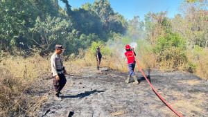 Petugas-damkar-berupaya-memadamkan-kebakaran-lahan-di-Karangasem-Minggu-2892025.jpg