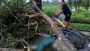 Pohon-Tumbang-yang-menimpa-pengendara-motor-889.jpg