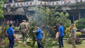 Pohon-pinus-tumbang-di-depan-pintu-masuk-Gedung-Ksirarnawa-26.jpg