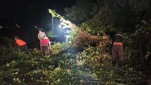 Pohon-tumbang-menutup-badan-jalan-di-Desa-Pesinggahan-79.jpg