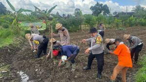 Polsek-Ubud-Gianyar-Bali-menggelar-penanaman-jagung-serentak.jpg
