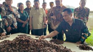 Produk-kakao-fermentasi-Jembrana-kembali-go-internasional.jpg