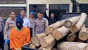 Satreskrim-Polres-Jembrana-mengungkap-kasus-illegal-logging-hasil-penebangan.jpg