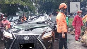 Senior-Menteri-Purbaya-Tewas-di-Tempat-Seketika-Pohon-Tumbang-Hantam-Mobil-Lexus.jpg