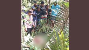 Seorang-penebang-pohon-asal-Desa-Kintamani-meninggal-setelah-terjatuh.jpg