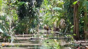 Situasi-banjir-di-Dusun-Tengading-Desa-Antiga-456.jpg