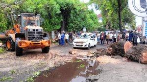 Suasana-proses-evakuasi-korban-pohon-tumbang-timpa-mobil-yang-melintas.jpg