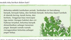 Tema-2-kelas-6-halaman-105-106-107.jpg