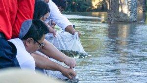 Wujud-kepedulian-lingkungan-Living-World-Denpasar-dukung-pelestarian-Dam-Oongan.jpg