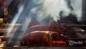 babi-guling-virus-asf-2020.jpg