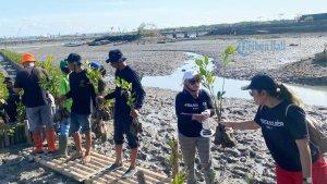 cgs-cimb-sekuritas-indonesia-menggelar-mangrove-project.jpg