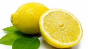 ilustrasi-lemon_20170217_091545.jpg