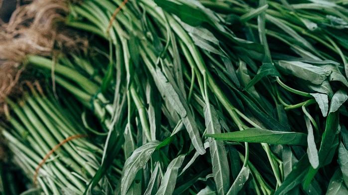 13-Manfaat-Khasiat-dan-Efek-Samping-Sayur-Kangkung-Sayur-Bikin-Ngantuk-Apakah-Mitos-atau-Fakta.jpg