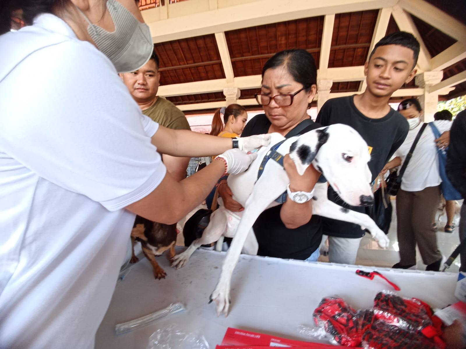 Vaksinasi Massal Sasar 24 Desa/Kelurahan Di Jembrana Bali, Fokus Capai Target 80 Persen Per Desa - Tribun-bali.com