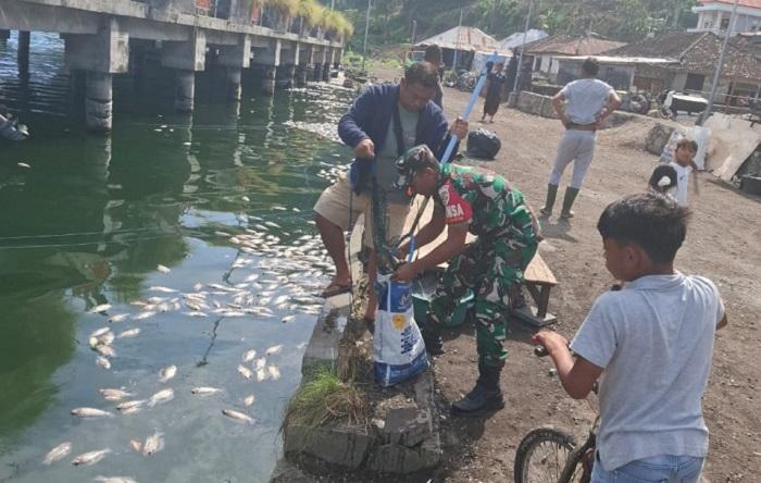 Anggota-TNI-membersihkan-ikan-mati-di-areal-Danau-Batur-89.jpg