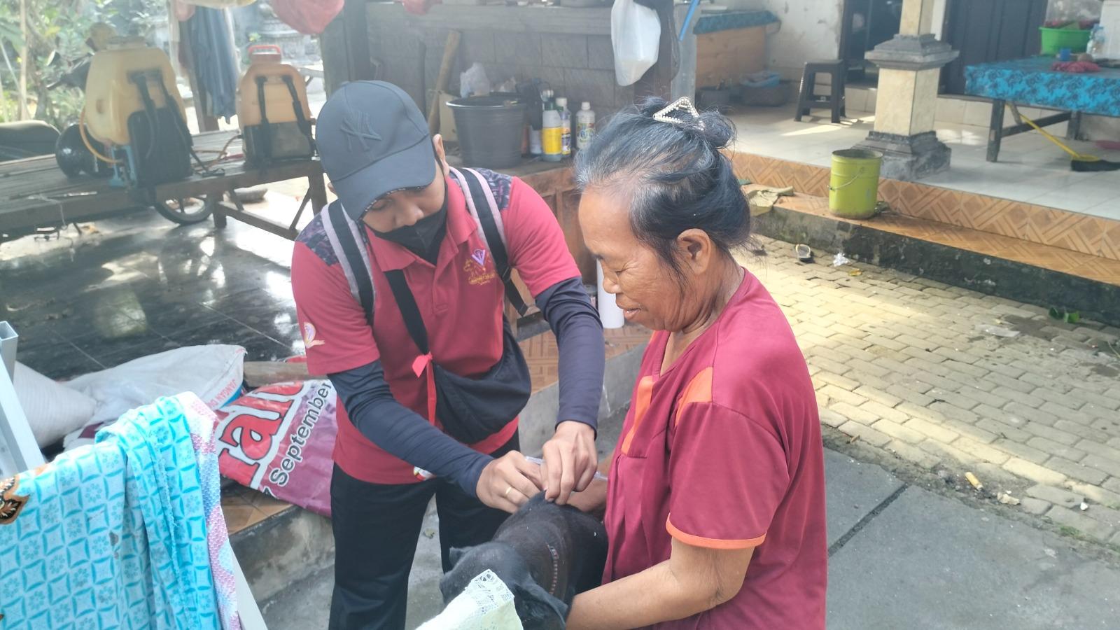 Anjing Liar Menyerang Bocah 5 Tahun Positif Rabies, Target Vaksinasi Belasan Ribu HPR di Jembrana