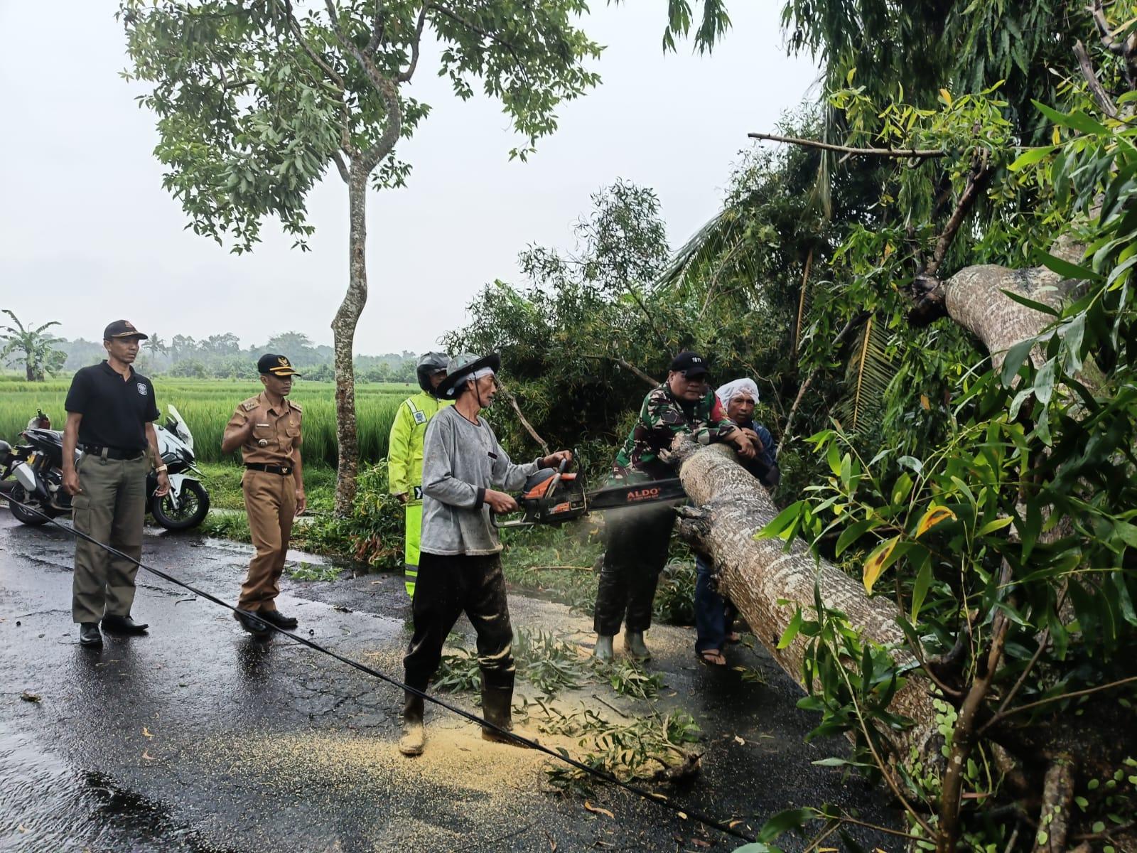 BPBD Catat Tahun 2025 Badung Bali Diterjang 114 Bencana, Kerugian Capai Rp 4,1 Miliar