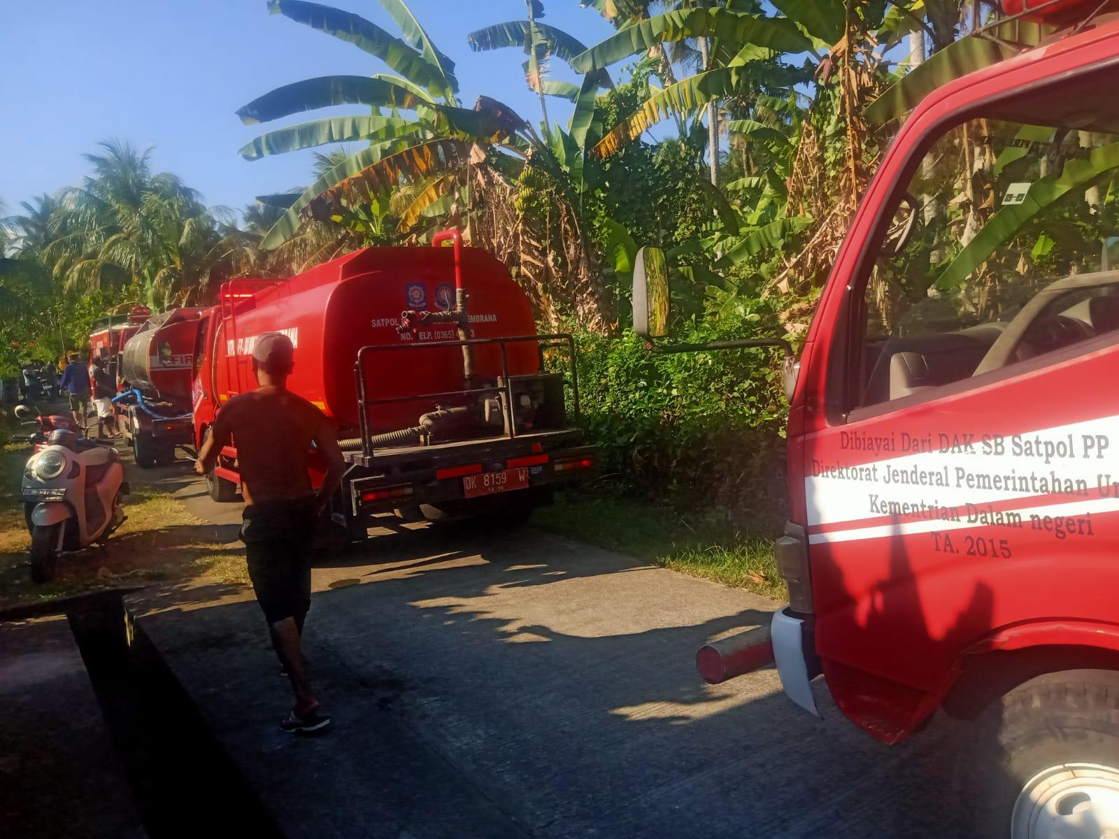 Buang Puntung Rokok Sembarangan, 5 Are Lahan Kebun Warga Terbakar Di Jembrana Bali - Tribun-bali.com