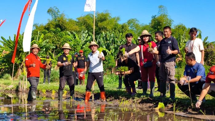 Padi Sudaji Terancam Punah, DPKPP Buleleng Mulai Konservasi Benih