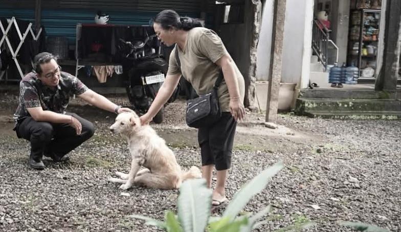 Gencarkan Vaksin Rabies dengan 115 Ribu Dosis, Difokuskan di Badung Selatan