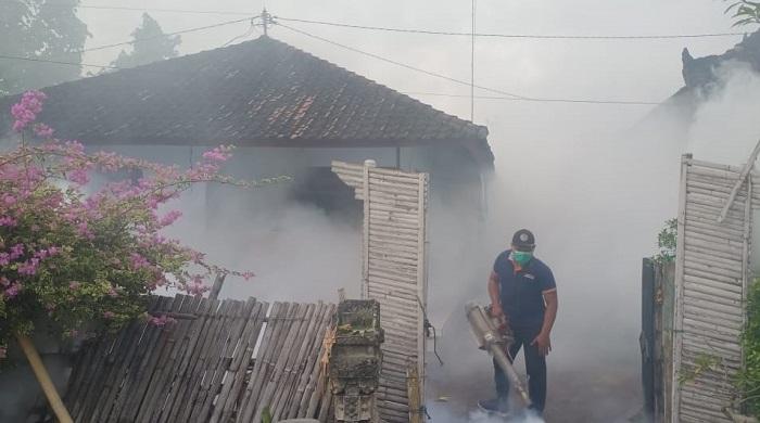Waspadai Genangan Air Bersih dan Tingkatkan PSN, Kasus DBD di Jembrana Bali Cenderung Menurun