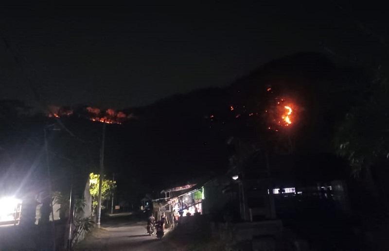 6 Hektar Kawasan Hutan di Banyupoh Buleleng Bali Kebakaran, Kobaran Api Padam Pukul 01.30 Wita