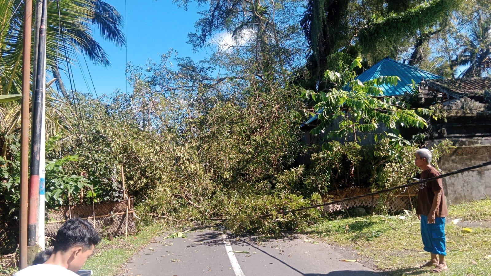 Dampak Bencana Alam, Kerugian PLN Gianyar Capai Rp 300 Juta