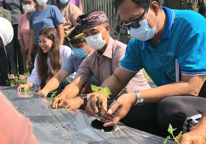 Kadis-Pertanian-dan-Pangan-Badung-Wayan-Wijana-saat-menanam-bibit-cabai.jpg