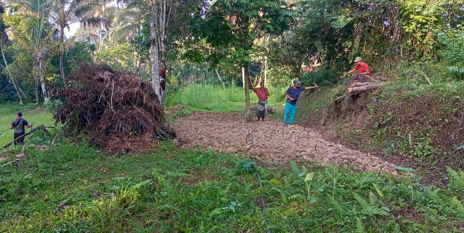 Petani di Payangan 'Dijajah' Monyet Sejak 2021, Wayan Kira Sebut Semakin Sulit Dikendalikan