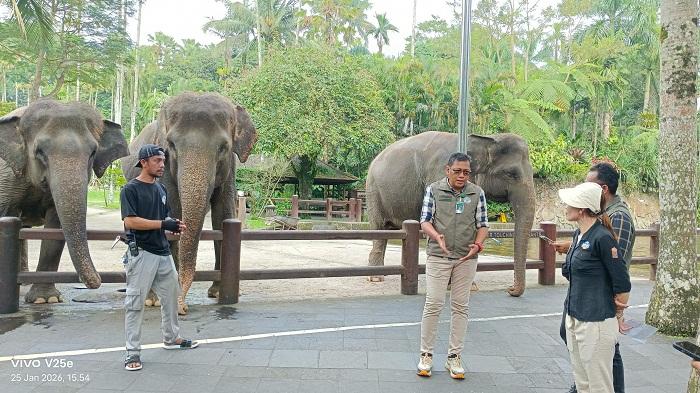 Kepala-Balai-KSDA-Bali-saat-meninjau-Mason-Elephant-Park-Lodge.jpg