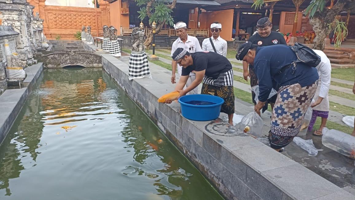 Kokomad-Berdonasi-Ikan-Koi-di-Pura-Jagadnatha-Denpasar-Angga.jpg