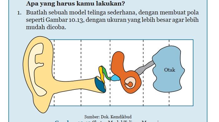 Kunci-Jawaban-Bahasa-Inggris-Kelas-8-Halaman-141-142-cover.jpg