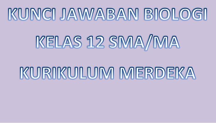 Kunci Jawaban Biologi Kelas 12 Halaman 125 126 Kurikulum Merdeka, Aktivitas 3.2: Evolusi Kuda
