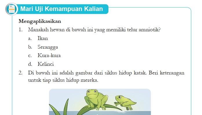 Kunci-Jawaban-IPA-Kelas-9-Halaman-16-Kurikulum-Merdeka-cover.jpg