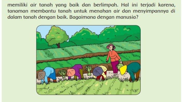 Kunci-Jawaban-Tema-6-Kelas-5-Halaman-24-27-28-30-32-36-37-Buku-Tematik-Pembelajaran-3-Subtema-1.jpg