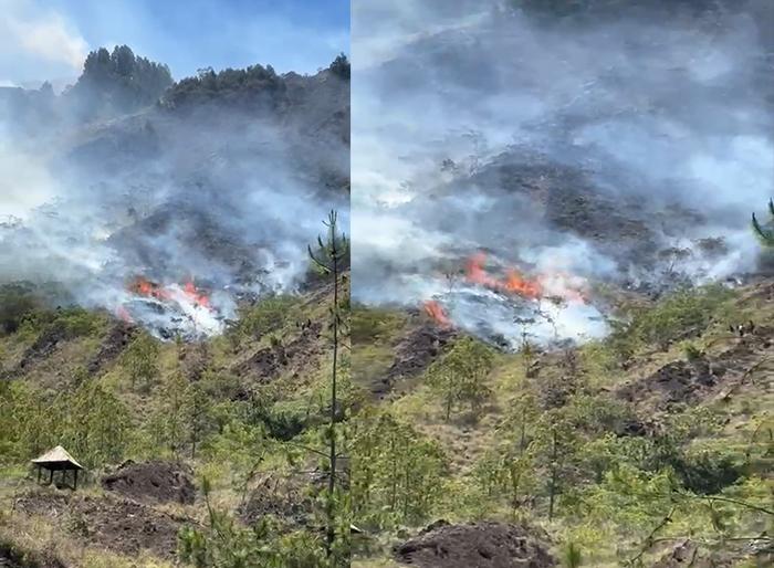 Lereng-Gunung-Batur-Kintamani-Bangli-alami-kebakaran-456.jpg
